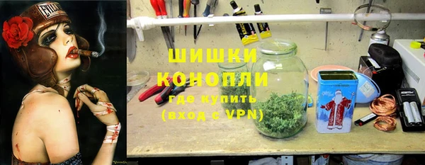 PSILOCYBIN Балахна