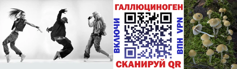 МЕГА ТОР  Мариинск  Псилоцибиновые грибы мицелий 