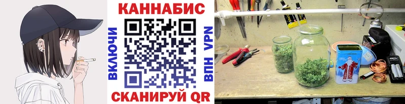 Бошки Шишки SATIVA & INDICA  купить наркотик  Мариинск 